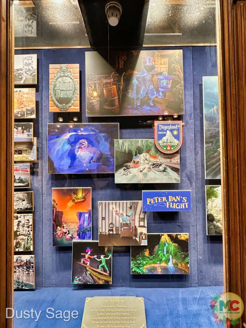 , Disneyland Update – Magic Meter, Locked Out & Christmas Cutbacks
