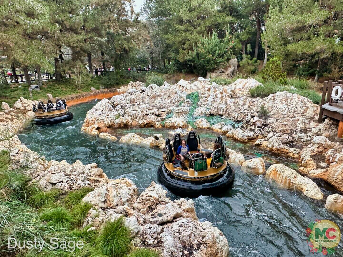 , Disneyland Update – And The Verdict Is…