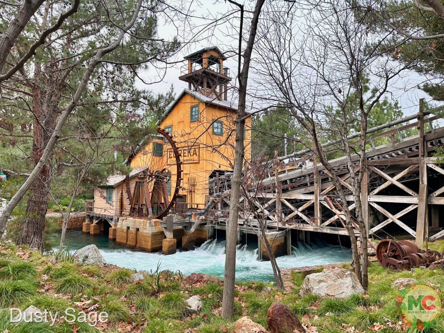 , Disneyland Update – Magic Meter, Locked Out & Christmas Cutbacks