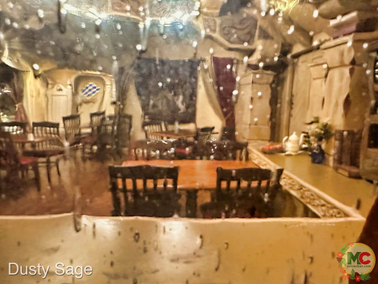 disneyland-royal reception closed window-MiceChat - MiceChat