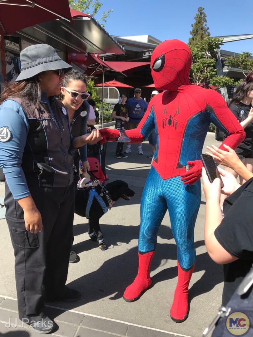 Stan Lee, Celebrating Stan Lee’s 100th Birthday With His Avengers Campus Characters