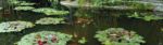 Disneyland_Koi_fish_lily_pond_Huntington_Library