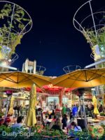 micechat-Downtown Disney Catal Night 2-MiceChat