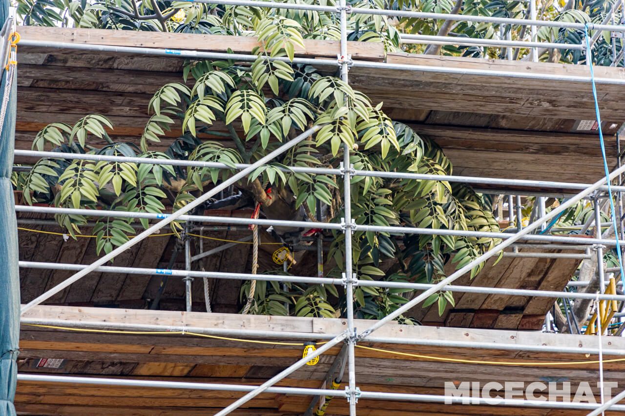 , Disneyland Update: It’s a Wall World After All