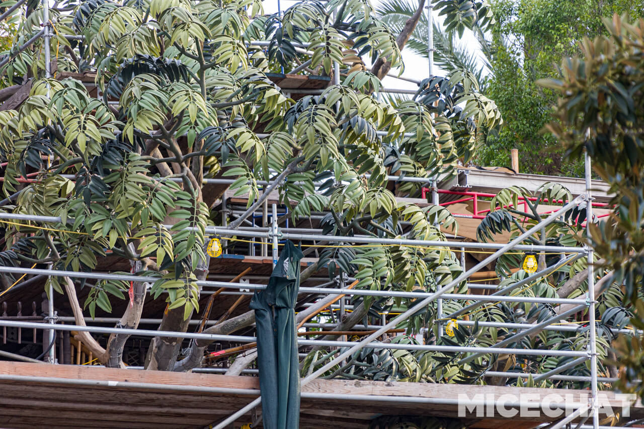 , Disneyland Update: It’s a Wall World After All