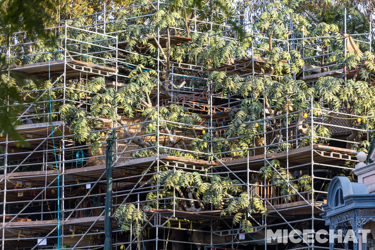 , Disneyland Update: It’s a Wall World After All