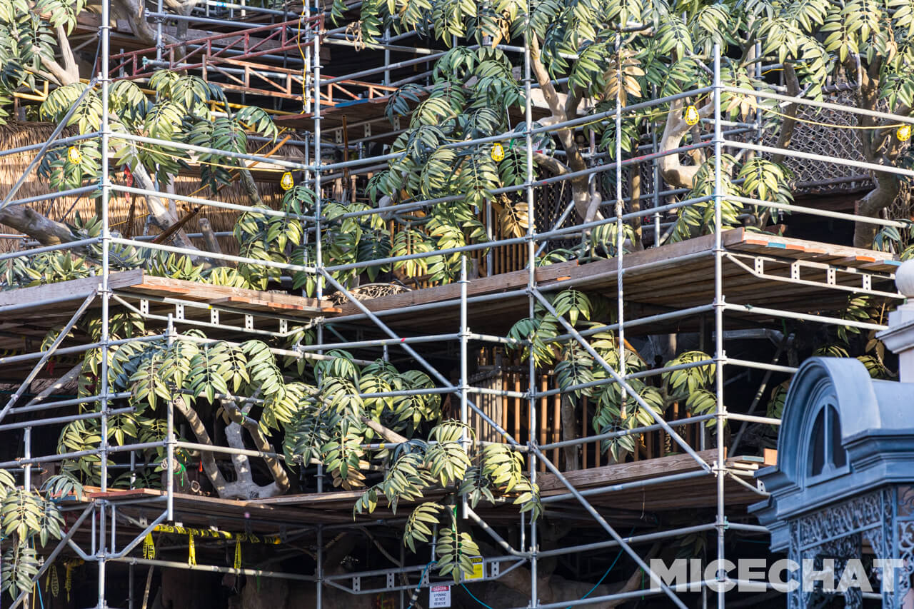 , Disneyland Update: It’s a Wall World After All