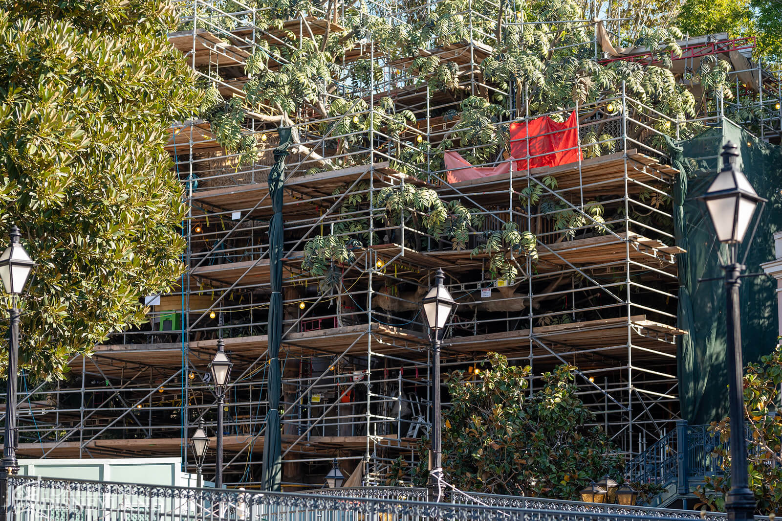 , Disneyland News Update: Nothing Can Stop Us Now…