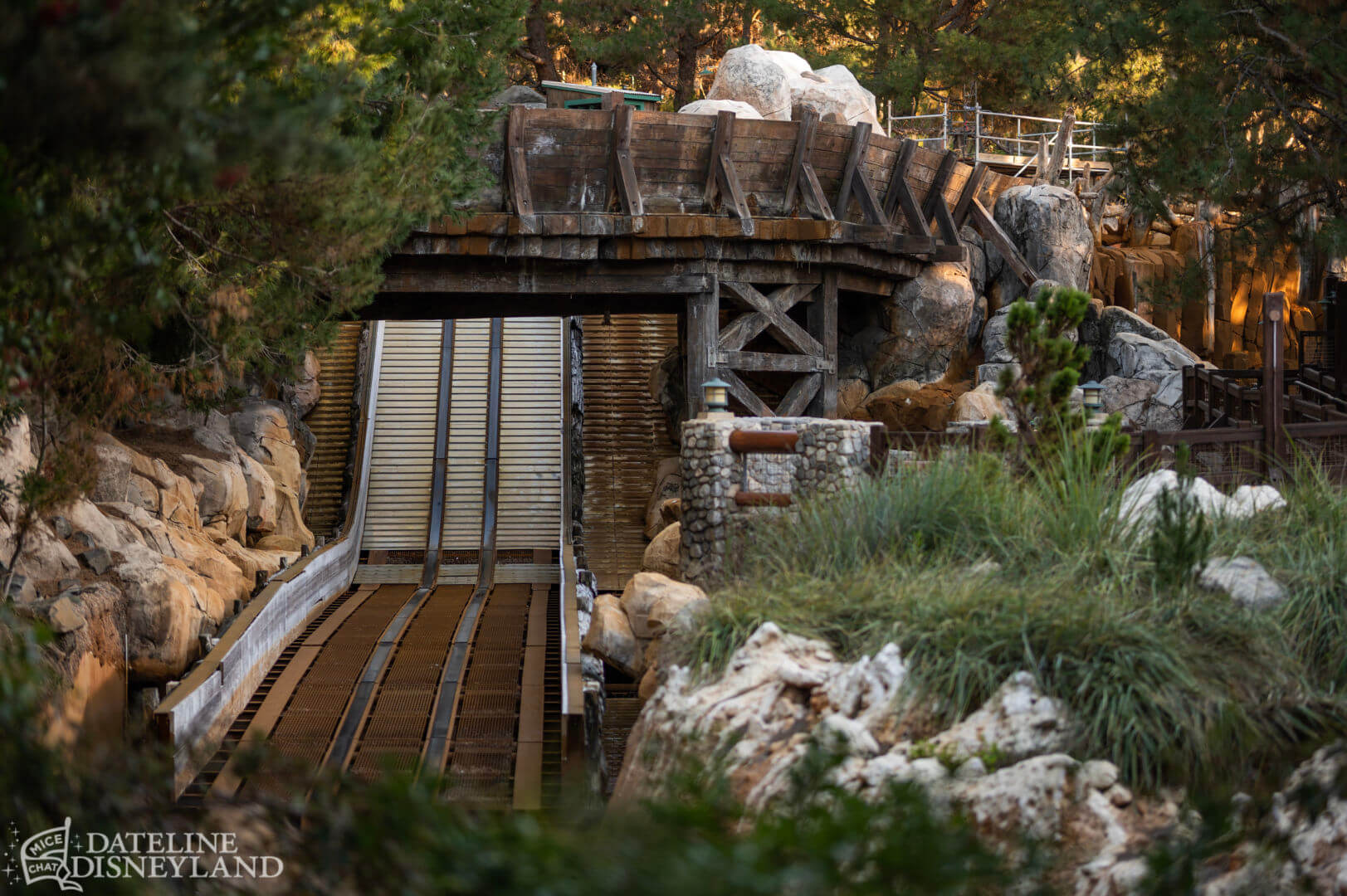 , Disneyland Update: Time to Recalibrate, Illuminate, and Celebrate!