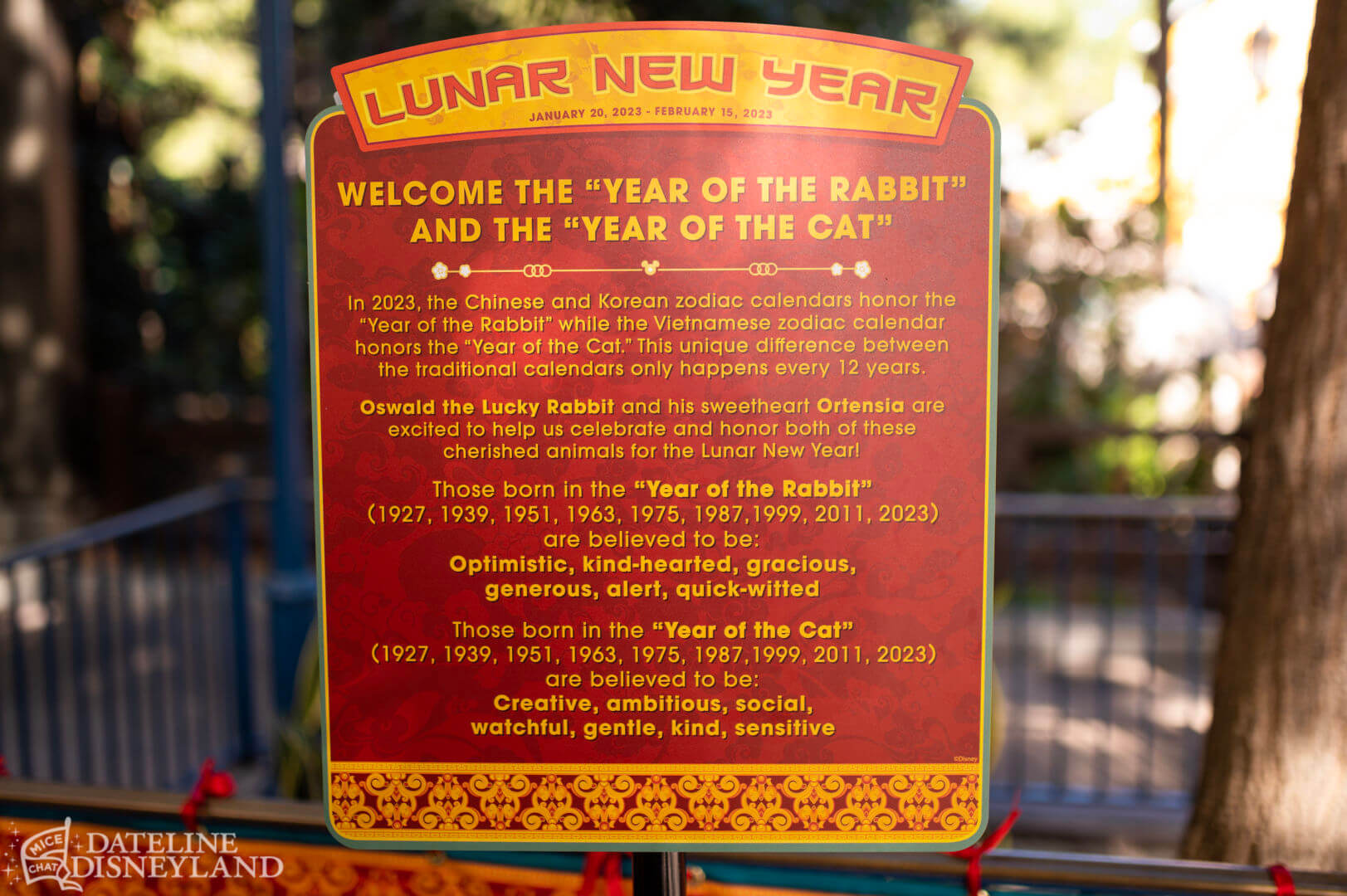 , Disneyland Update: Time to Recalibrate, Illuminate, and Celebrate!