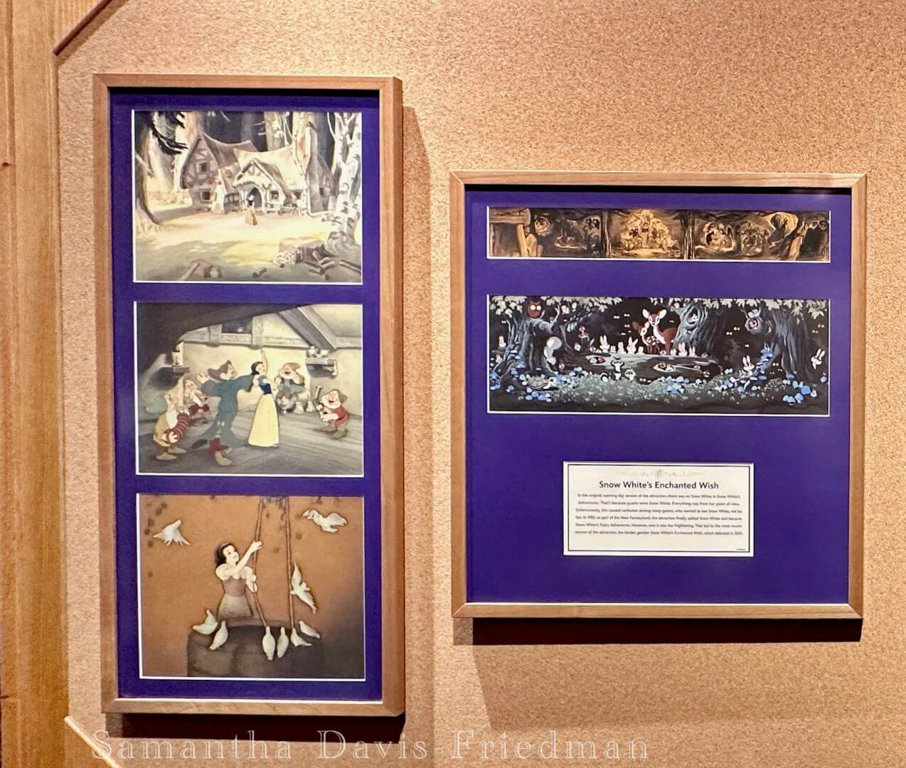 The Disney Gallery Presents: Disney 100 Years of Wonder.