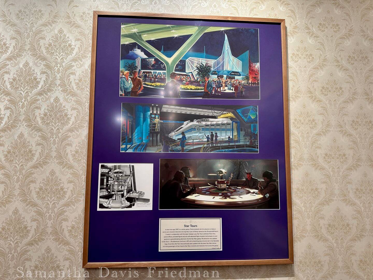 , Disneyland News Update: Nothing Can Stop Us Now…