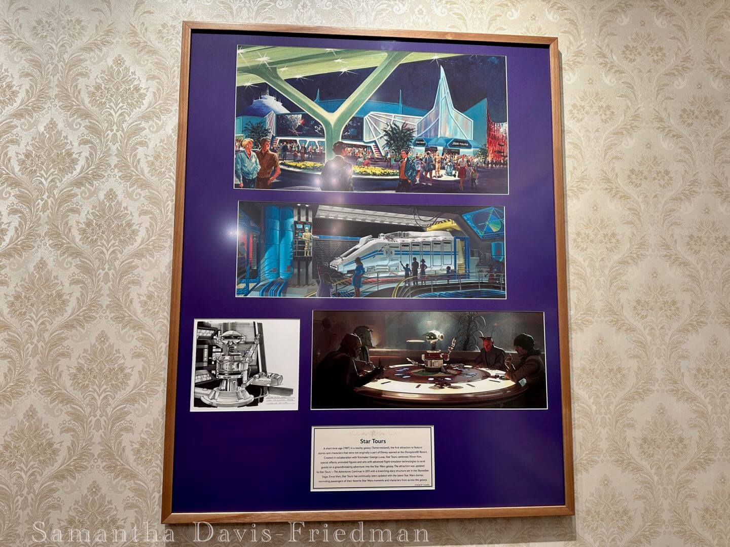 The Disney Gallery Presents: Disney 100 Years of Wonder