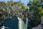 Disneyland Adventureland Treehouse construction DSC_1706-X5