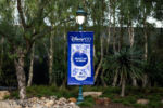 Disneyland Disney100 Celebration banners tram route Beauty and the Beast DSC_1165-X5
