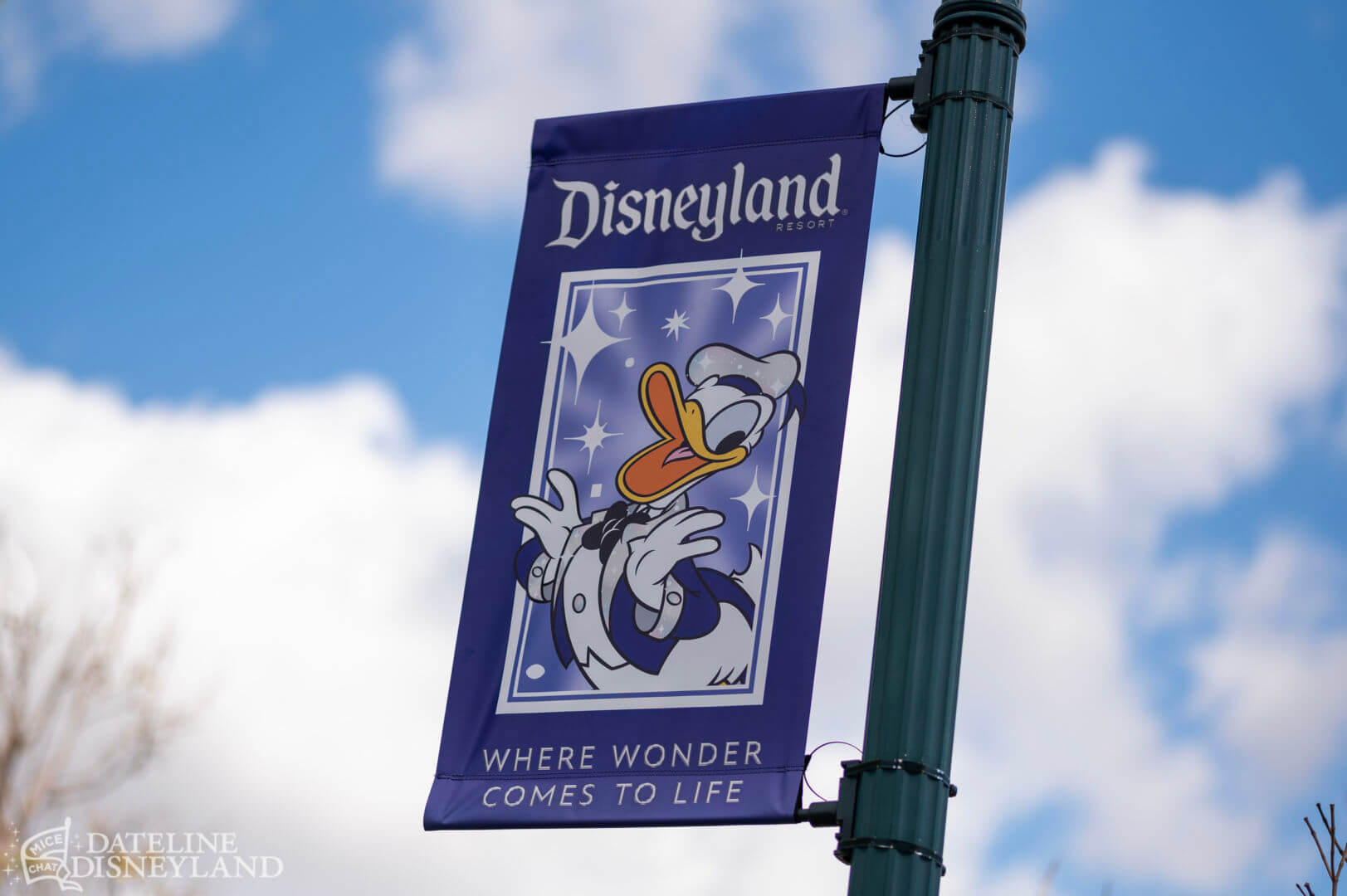, Disneyland Update: Time to Recalibrate, Illuminate, and Celebrate!
