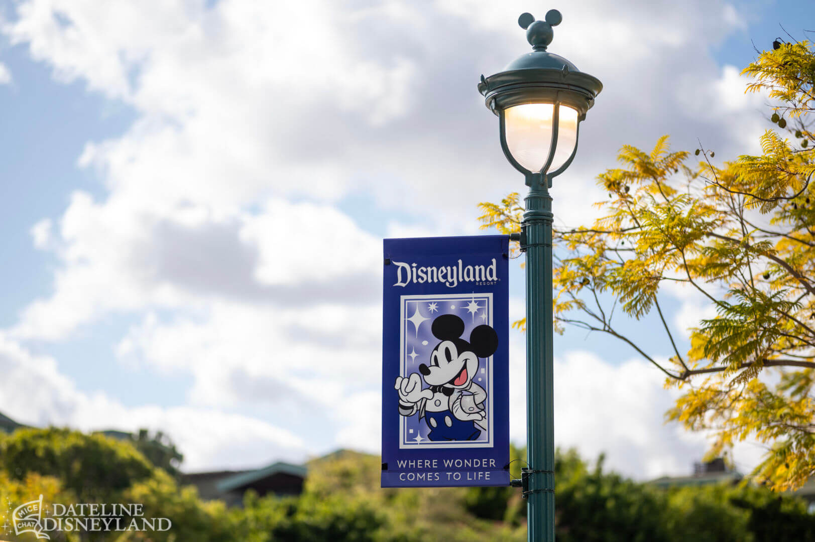 , Disneyland Update: Time to Recalibrate, Illuminate, and Celebrate!