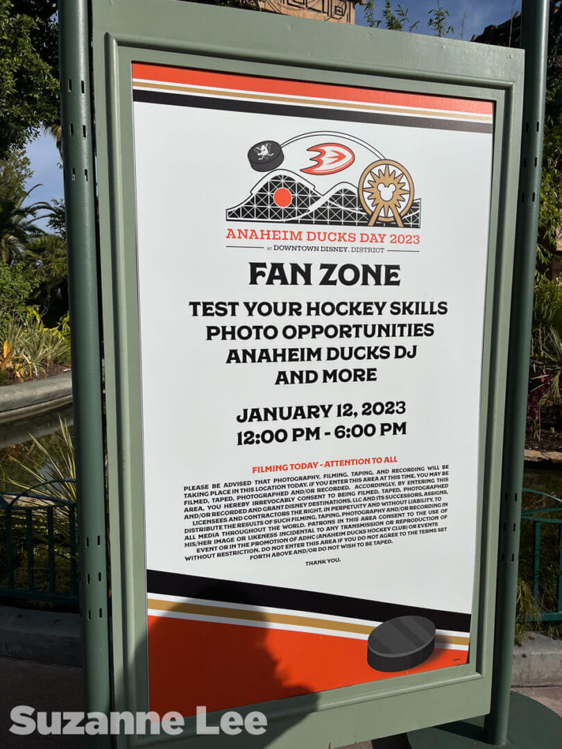 , Disneyland Update: It’s a Wall World After All