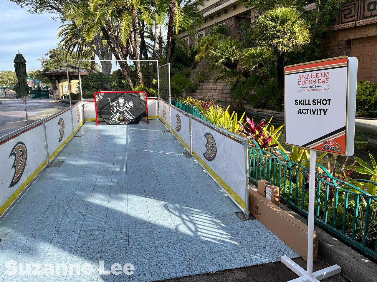 , Disneyland Update: It’s a Wall World After All