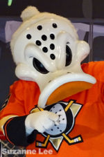 Disneyland_Anaheim_Ducks_Day_Wild Wing Orange 3_