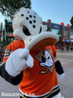 Disneyland_Anaheim_Ducks_Day_Wild Wing in DTD(1)_