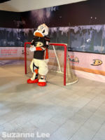 Disneyland_Anaheim_Ducks_Day_Wild Wing meet and greet_