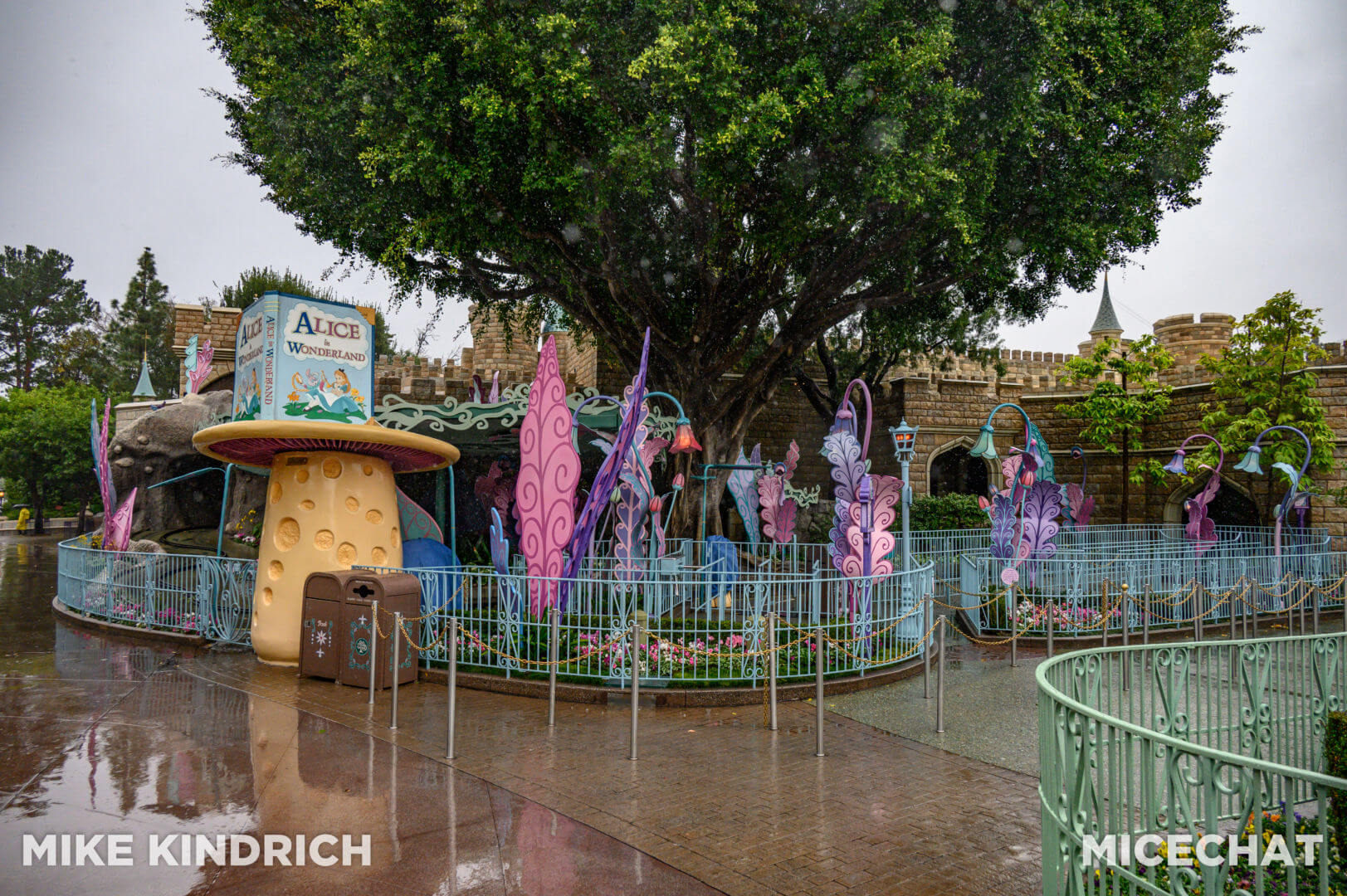 , Disneyland Update &#8211; The One-Two Punch!