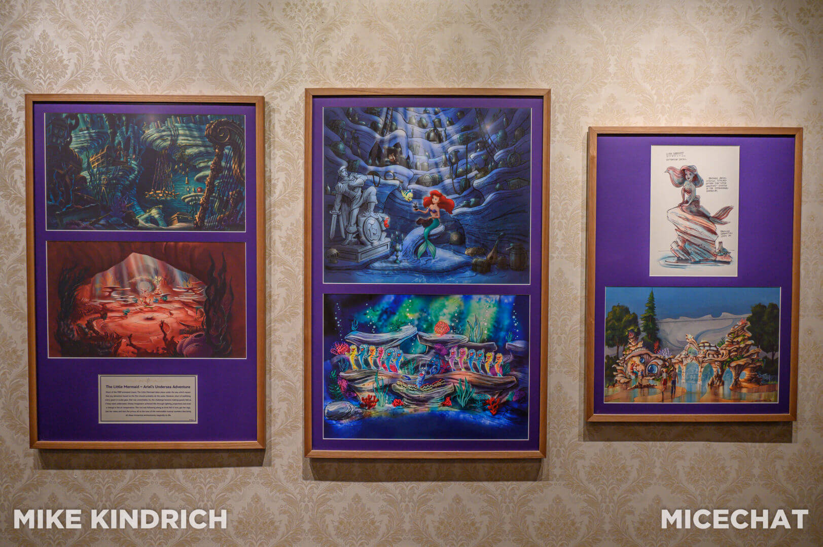 The Disney Gallery Presents: Disney 100 Years of Wonder.