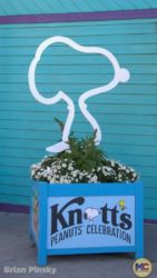 Knotts Berry Farm_Peanuts Celebration_Planters Snoopy