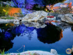 MiceChat – Disneyland Update – Tinkerbell pond dark