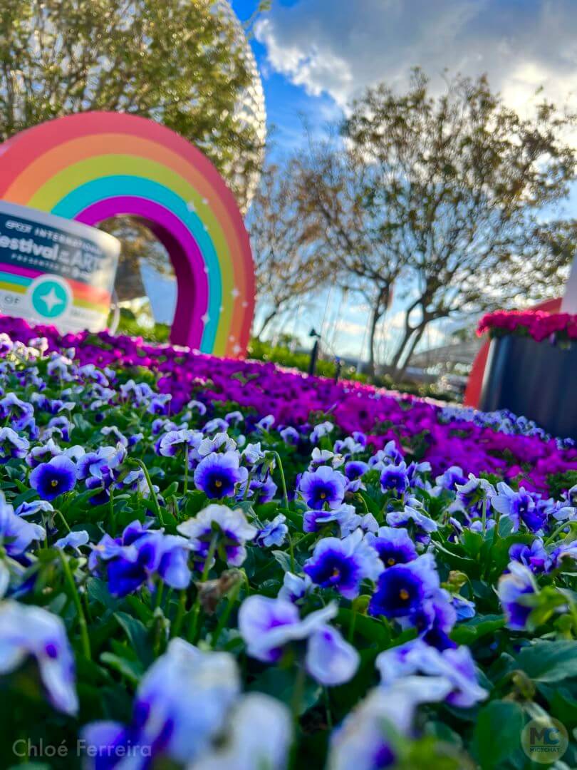 , Walt Disney World Update: A Sweet History and a Green Future