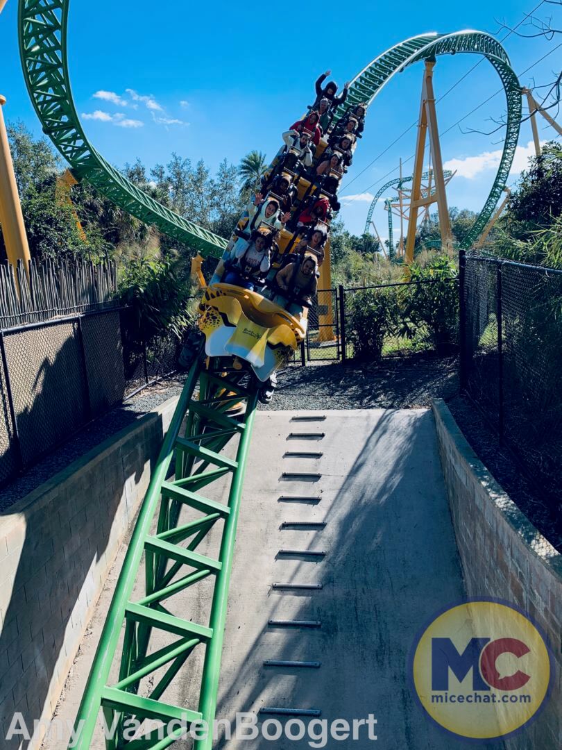 Busch Gardens Mardi Gras, Busch Gardens Mardi Gras Brings &#8220;The Big Easy&#8221; To Tampa