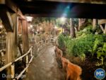 disneyland-Crowds Pooh-MiceChat