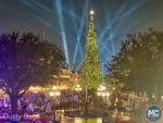 disneyland-NYE beauty nye main street trees and spotlights-MiceChat