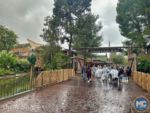 disneyland-crowds frontierland bridge-MiceChat