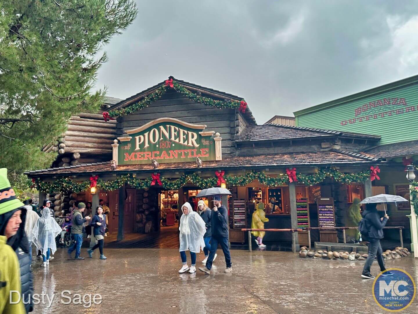 , Disneyland Update &#8211; Don&#8217;t Let The Door Hit You On The Way Out!