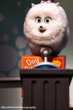 013_Universal Studios Hollywood_Secret Life of Pets Off the Leash