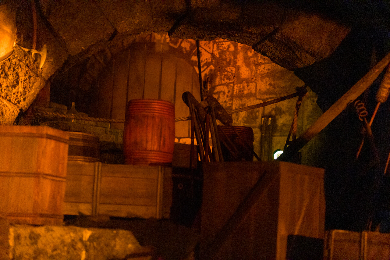 , Disneyland Update: Magic Finally Happened!