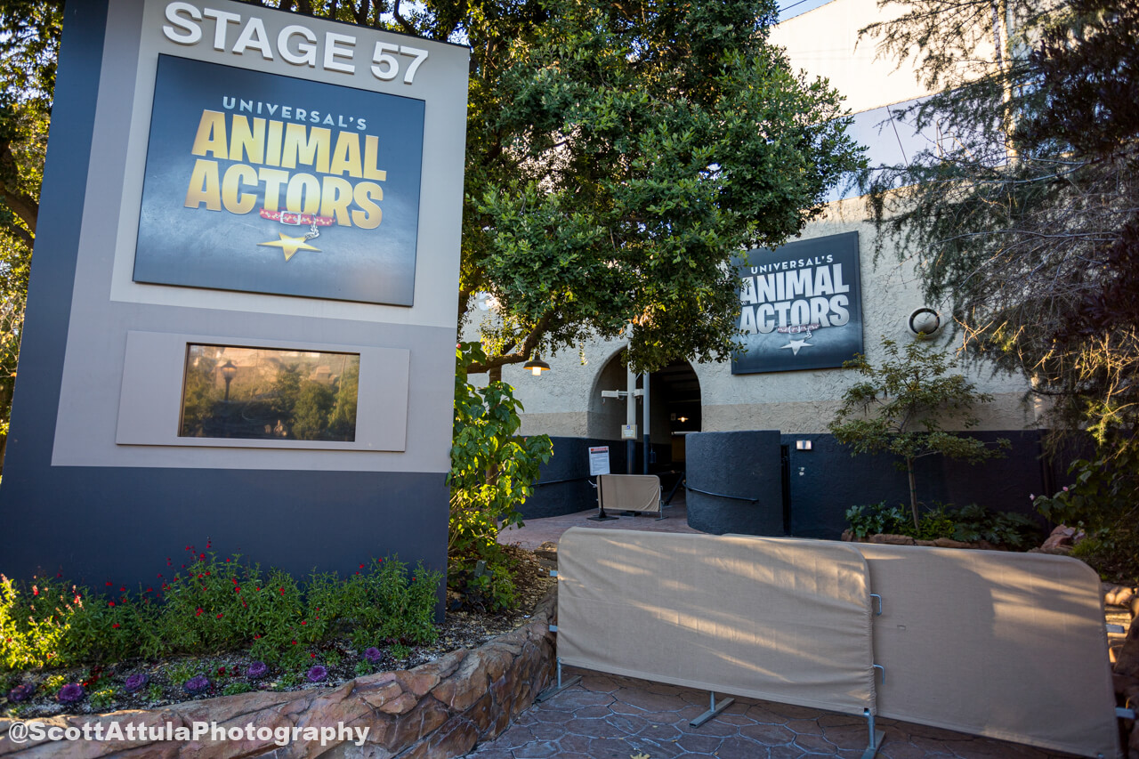 , Universal Studios Hollywood Update – The Calm Before the Mushroom Storm