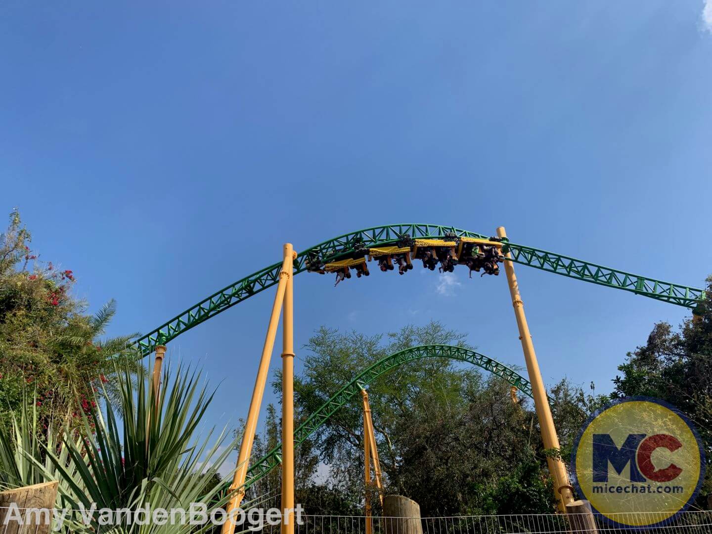 Serengeti Flyer, Serengeti Flyer Screams Into Flight at Busch Gardens Tampa