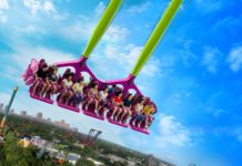 Serengeti Flyer Screams Into Flight at Busch Gardens Tampa