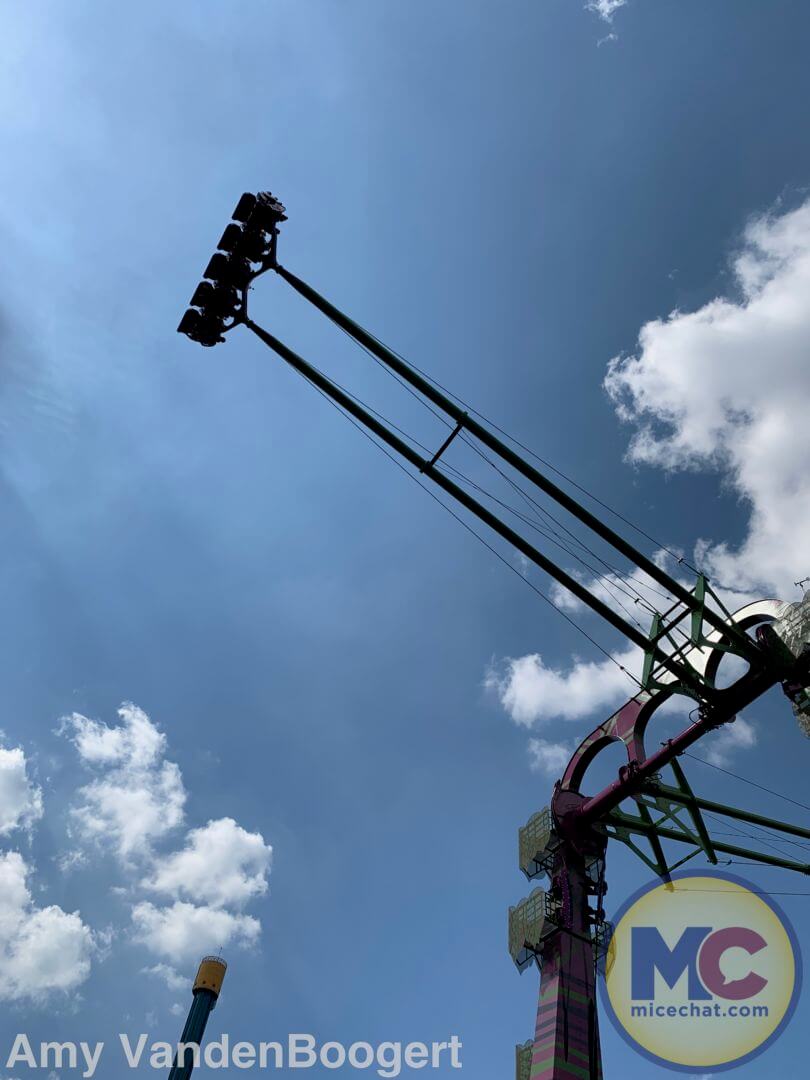 Serengeti Flyer, Serengeti Flyer Screams Into Flight at Busch Gardens Tampa