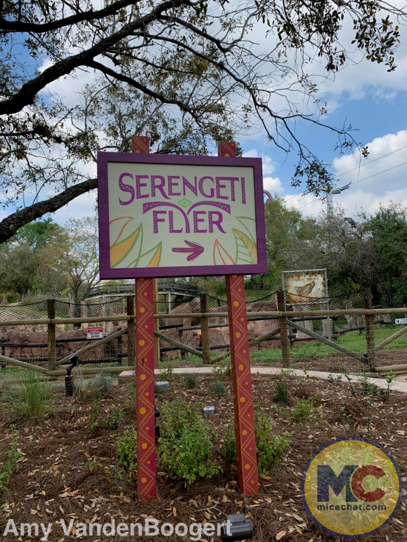 Serengeti Flyer, Serengeti Flyer Screams Into Flight at Busch Gardens Tampa
