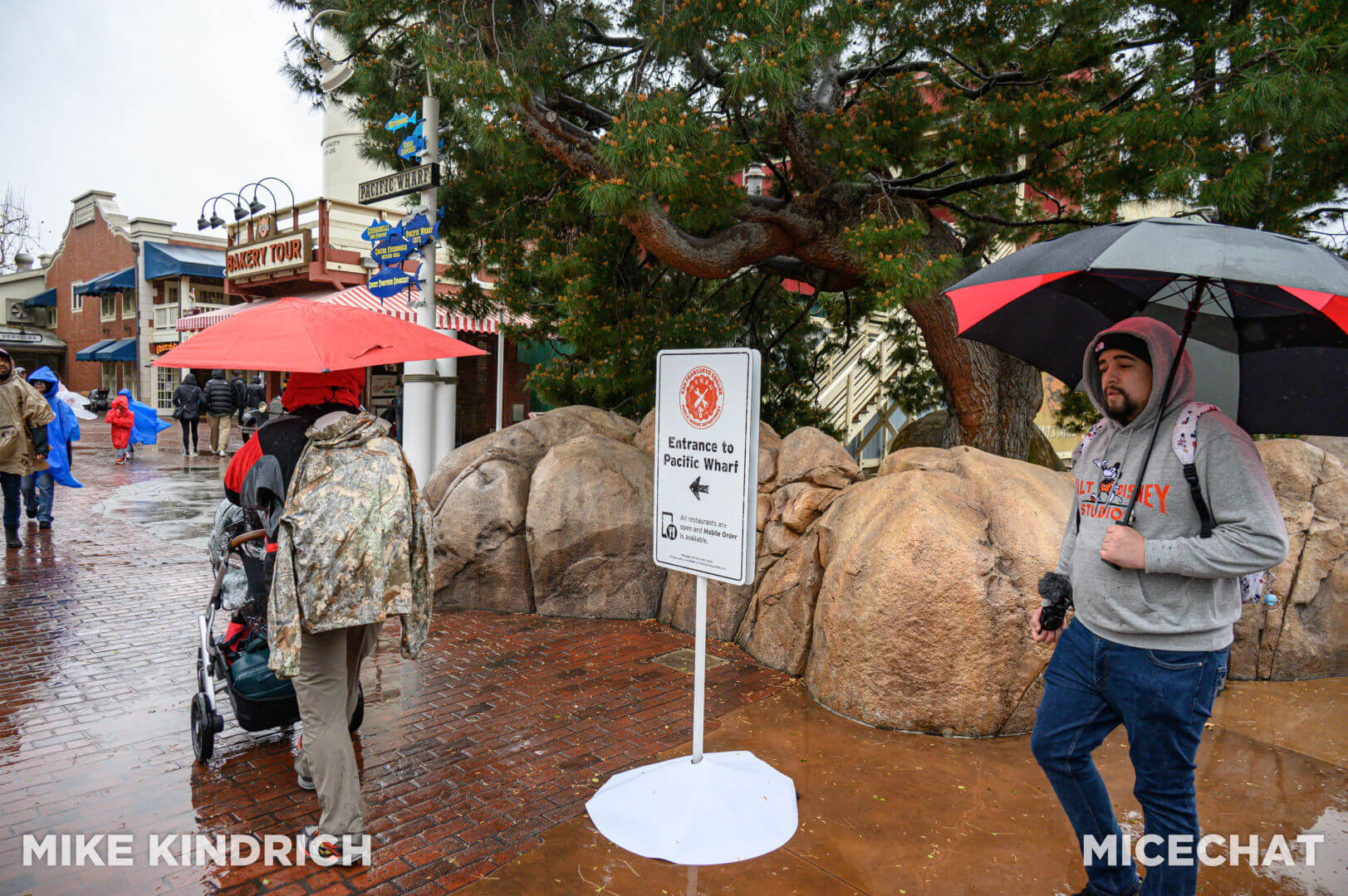 , Disneyland Update: Magic Finally Happened!
