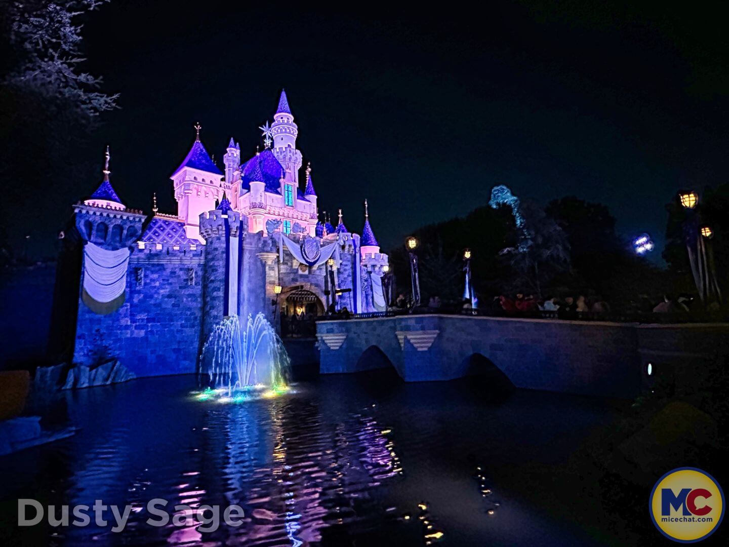 , Disneyland Update: Dropped off, Burned Out & Forgotten…