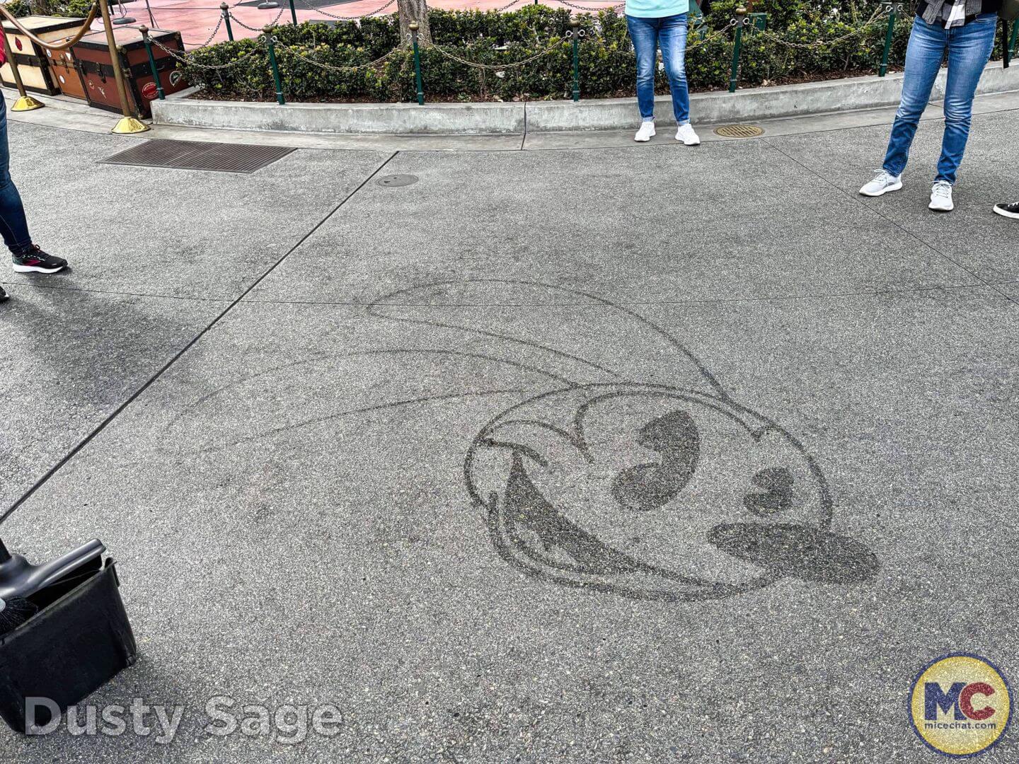 , Disneyland Update: Dropped off, Burned Out & Forgotten…