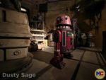 Disneyland-News-beauty star wars galaxys edge droid washing area 2-MiceChat