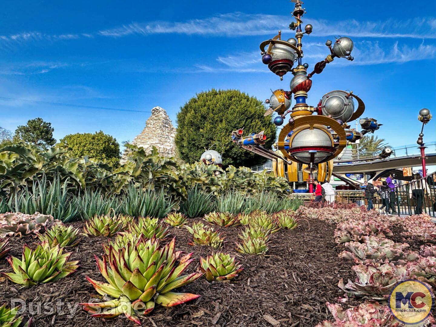 , Disneyland Update: Dropped off, Burned Out & Forgotten…