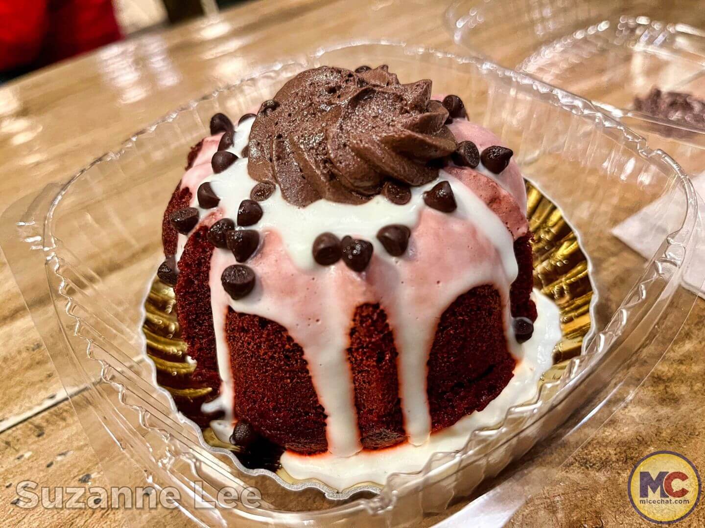 , Disneyland Update: Dropped off, Burned Out & Forgotten…