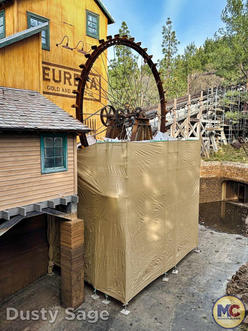 , Disneyland Update: Dropped off, Burned Out & Forgotten…